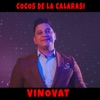 Vinovat - Single
