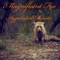 Fox Bounce - Magnificent Fox lyrics