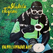 uShukela eTiyeni artwork