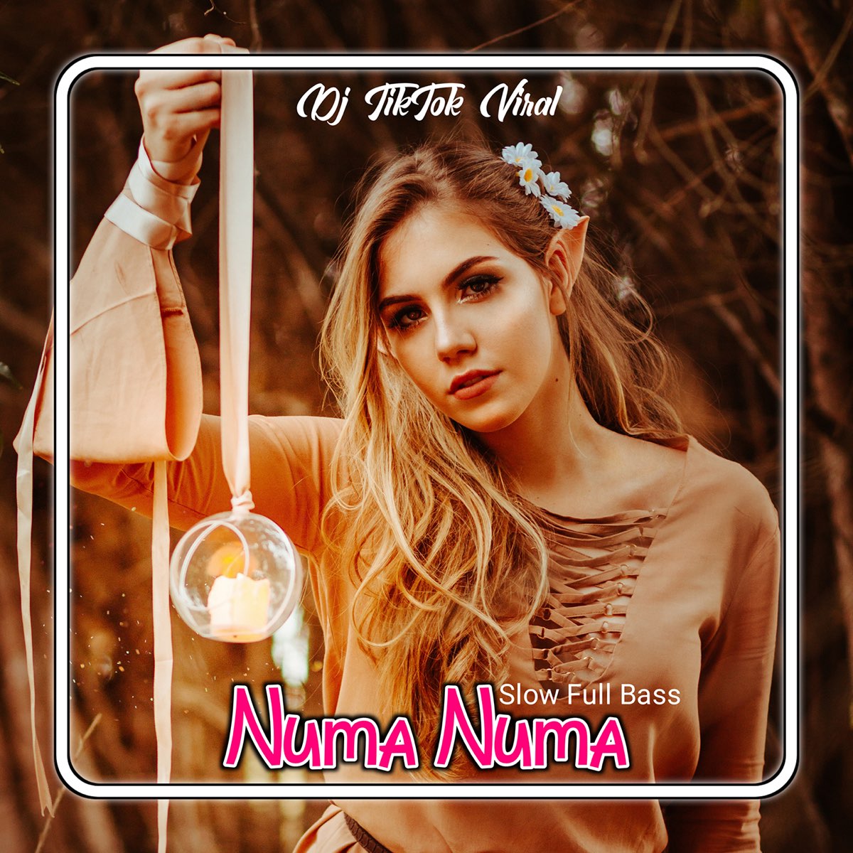 ‎Numa Numa Slow Full Bass - Single by Dj TikTok Viral on Apple Music