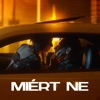 Miért ne (feat. Orsovai Reni) - Single