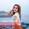 Bojo Biduan - Single