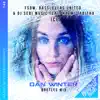 Ice (Dan Winter Bootleg Mix) [feat. Naëmi Tabitha] - Single album lyrics, reviews, download