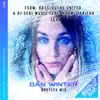 Stream & download Ice (Dan Winter Bootleg Mix) [feat. Naëmi Tabitha] - Single