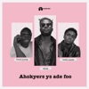 Ahokyer3 Y3 Difoo - Single