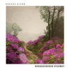 Rhododendron Highway