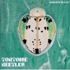 Tortoise Beetles - Single