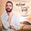 Bahuteya Piyaran Wali - Single