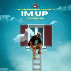 Im Up - Single by Yungdaygo album reviews, ratings, credits