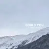 Could You (feat. Scotty & Ashley DeVries) - Single album lyrics, reviews, download