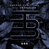 SOS (feat. Josh Dion) artwork