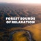 Cold Showers - Natural Sounds Selections, Zen Sounds & Nature Sound Collection lyrics