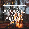 Top 20 Acoustic Tracks Autumn 2023 (Instrumental)