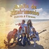Anillo de Matrimonio - Single