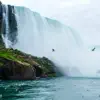 Ultimate Nature Bird Sounds and Waterfall - Single album lyrics, reviews, download