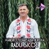 Mândro floare albă-n rouă - Single