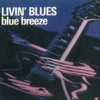 Blue Breeze, 1976