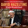 Winter Wonderland (Christmas Cards from David Hazeltine) - Single, 2023