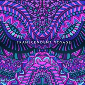 Transcendent Voyage artwork