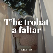 T'he Trobat a Faltar artwork