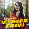 Menghapus Jejakmu - Single