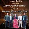 Dime Porque Estas Triste - Single