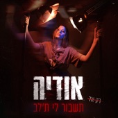 תשבור לי ת'לב artwork