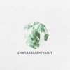 Chipul Celui Nevazut - Single