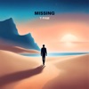 Missing - Single