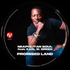 Promised Land - Single