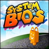 system BIOS