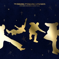 THE FEELING OF FALLING UPWARDS - LIVE cover art