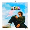 VIEM - Single