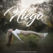 Me Niego artwork