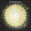 Metamorphs - Lee Harris & Davor Bozic