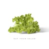 Eat Your Salad by Citi Zēni iTunes Track 3