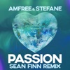 Passion (Sean Finn Remix) - Single