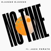 No Time (feat. Jack Peñate) artwork