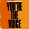 You're The Voice artwork