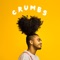 Crumbs (feat. Blush'ko) - Jordan Dennis lyrics