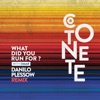 What Did You Run For? (Danilo Plessow Remix) - Single