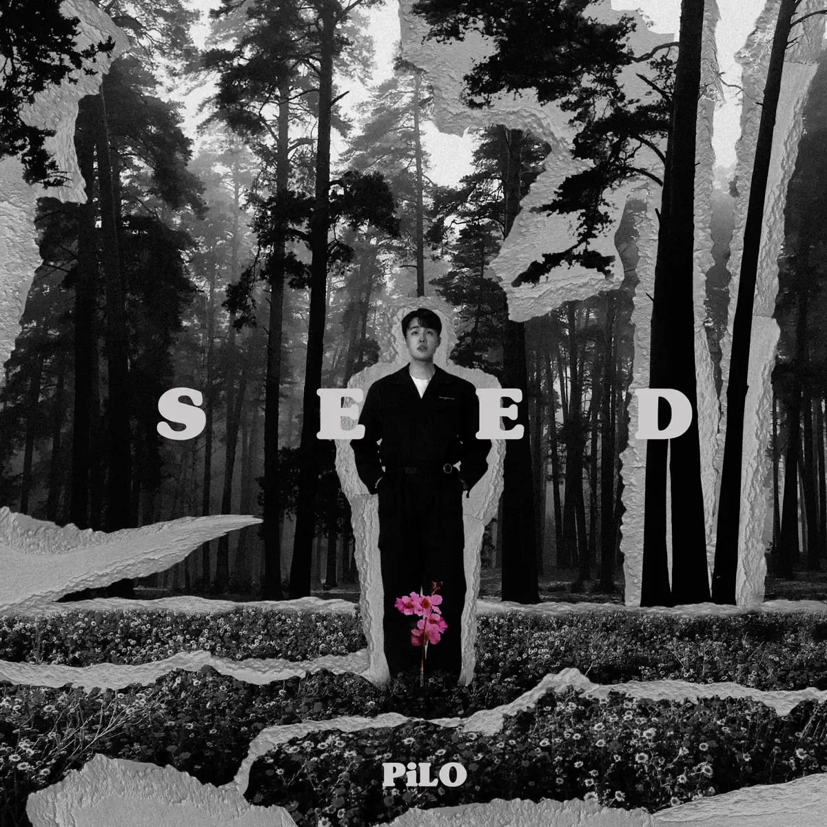 PiLO - SEED (2023) [iTunes Plus AAC M4A]-新房子