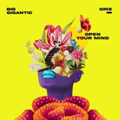 Big Gigantic - Open Your Mind
