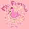 Mr. Flamingo - Sita Sunil & Skyler Chin lyrics