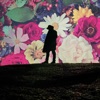 Summer Fool - Single