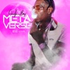 Metaverse - Single