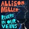 Hudson (feat. Jenny Scheinman) - Allison Miller lyrics