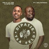 Dipatje Tsa Felo (feat. Daliwonga) artwork