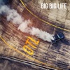 Big Big Life - Single