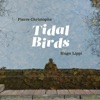 Pierre Christophe - Tidal Birds